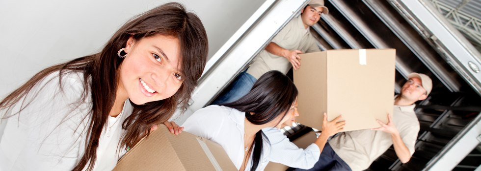Professional Removalists Leafdale